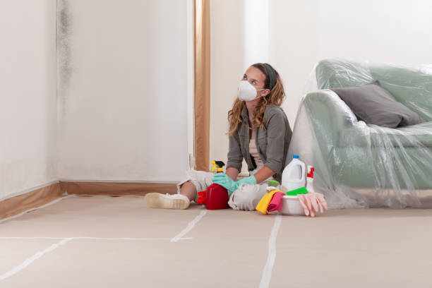 Reliable Mold Cleanup contractor in Heathsville, VA by Cheap Mold Removal